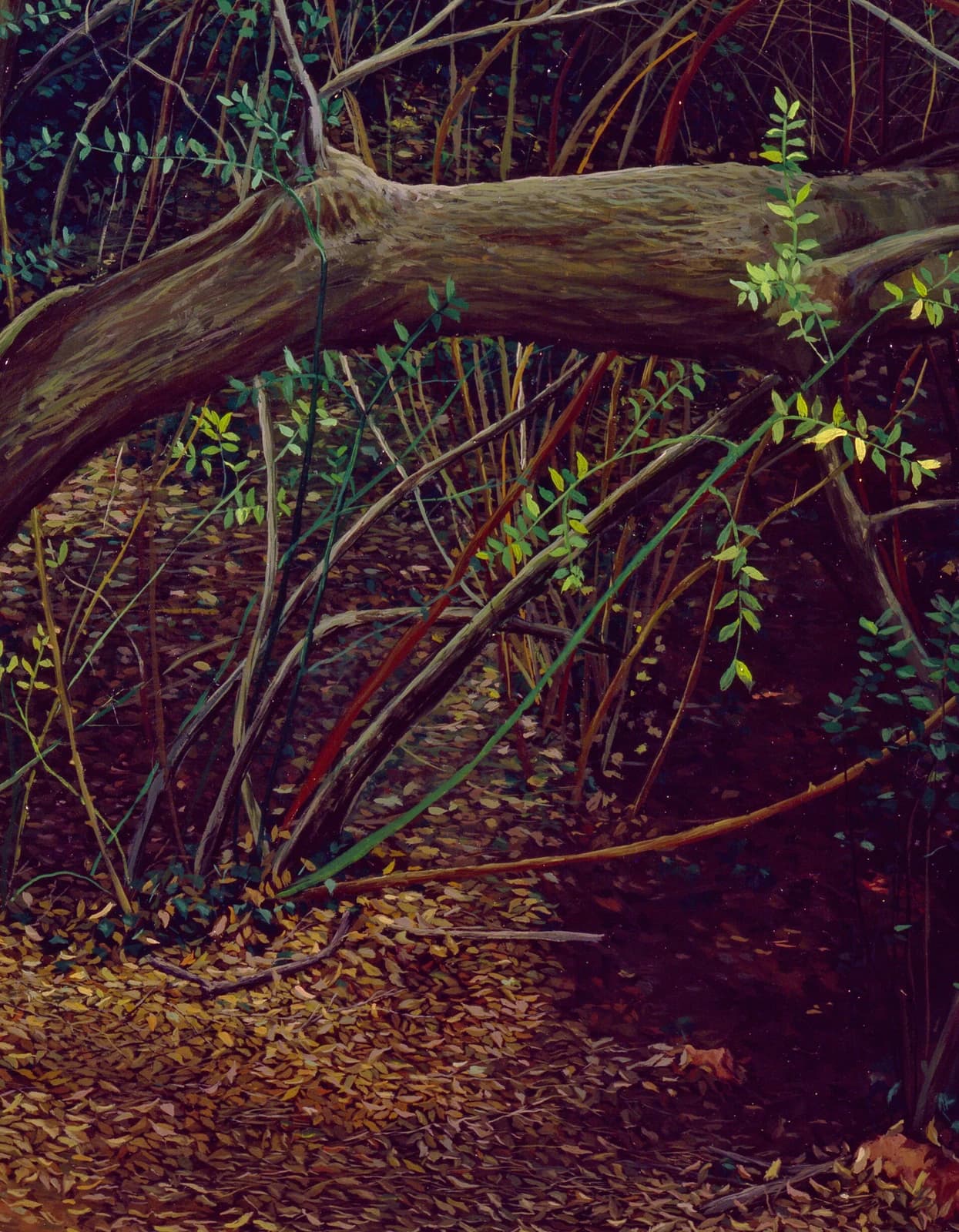 Árbol Caído — 3 de 3