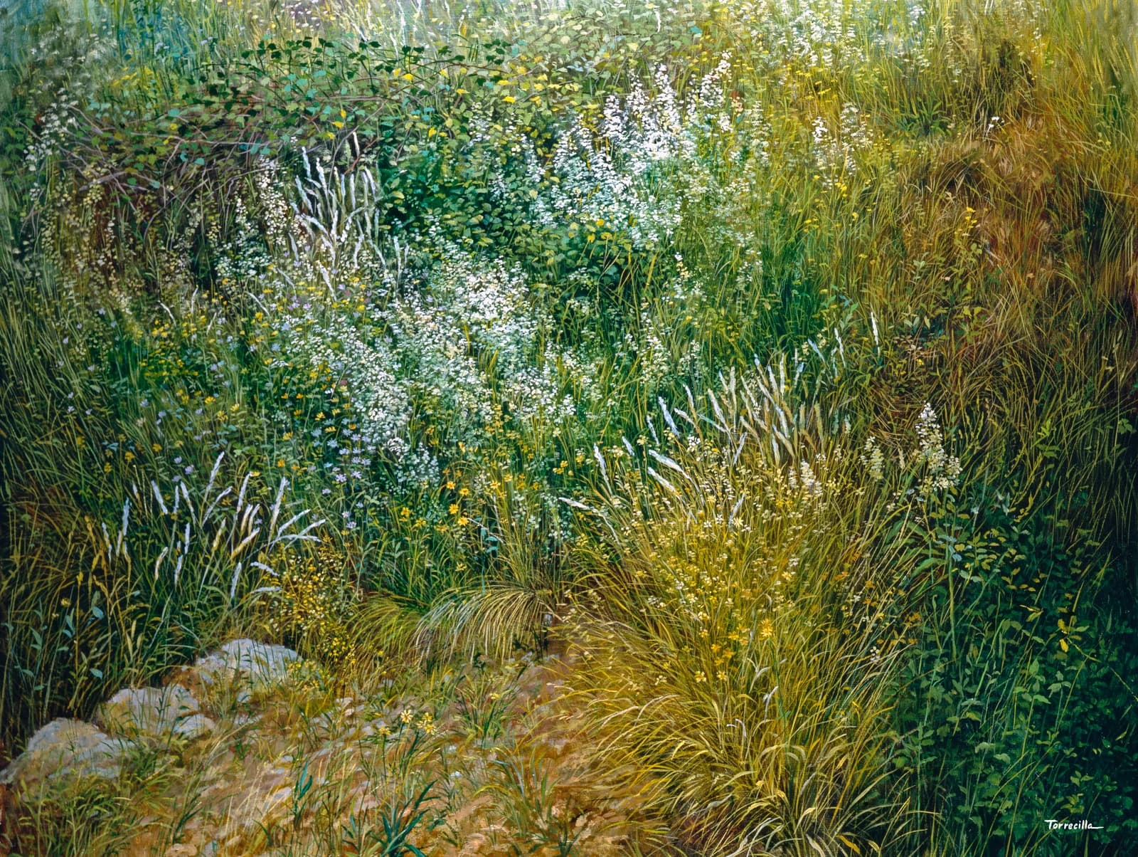 Flores del bosque — Óleo sobre lino