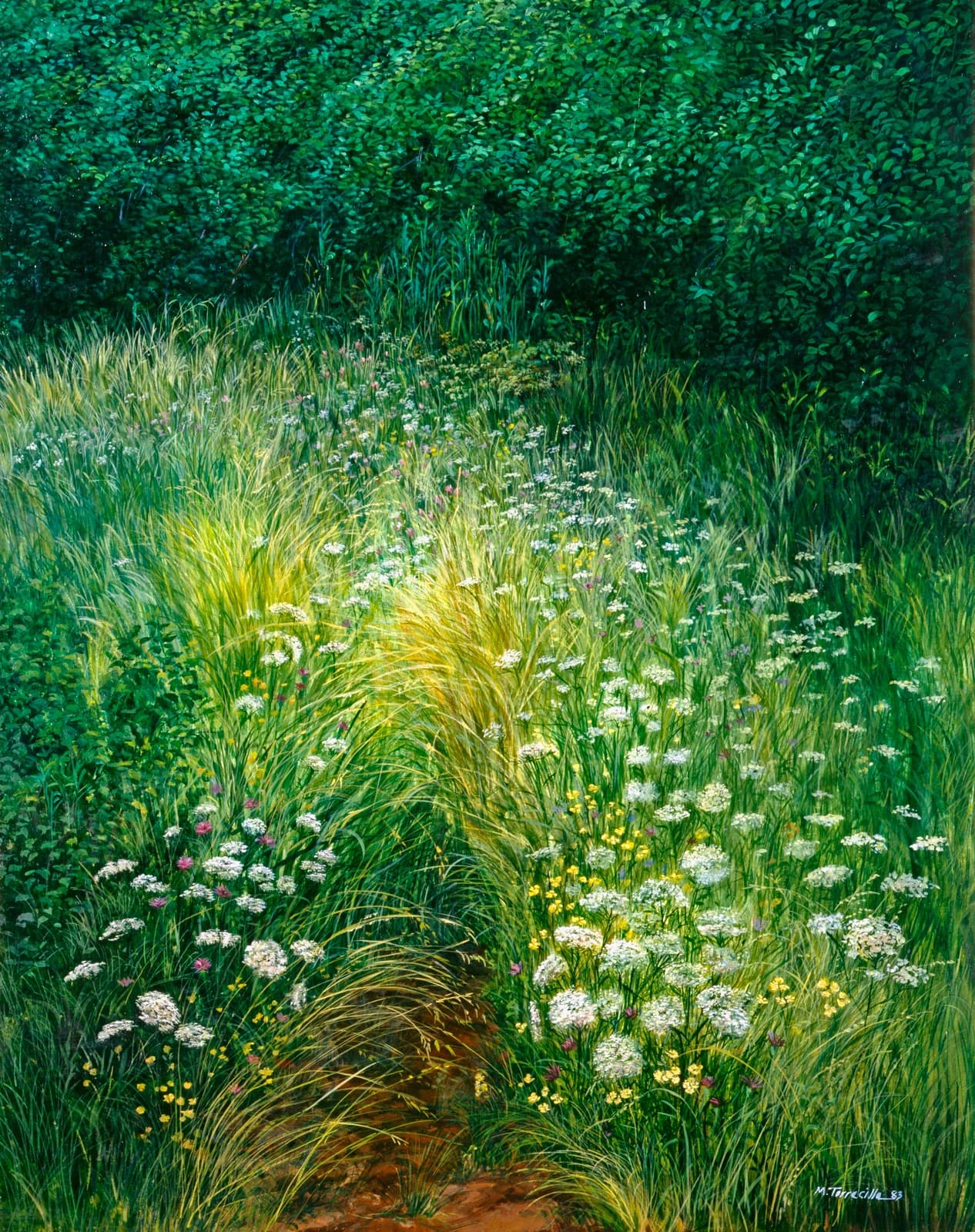 Esquina Floral — Óleo sobre lino