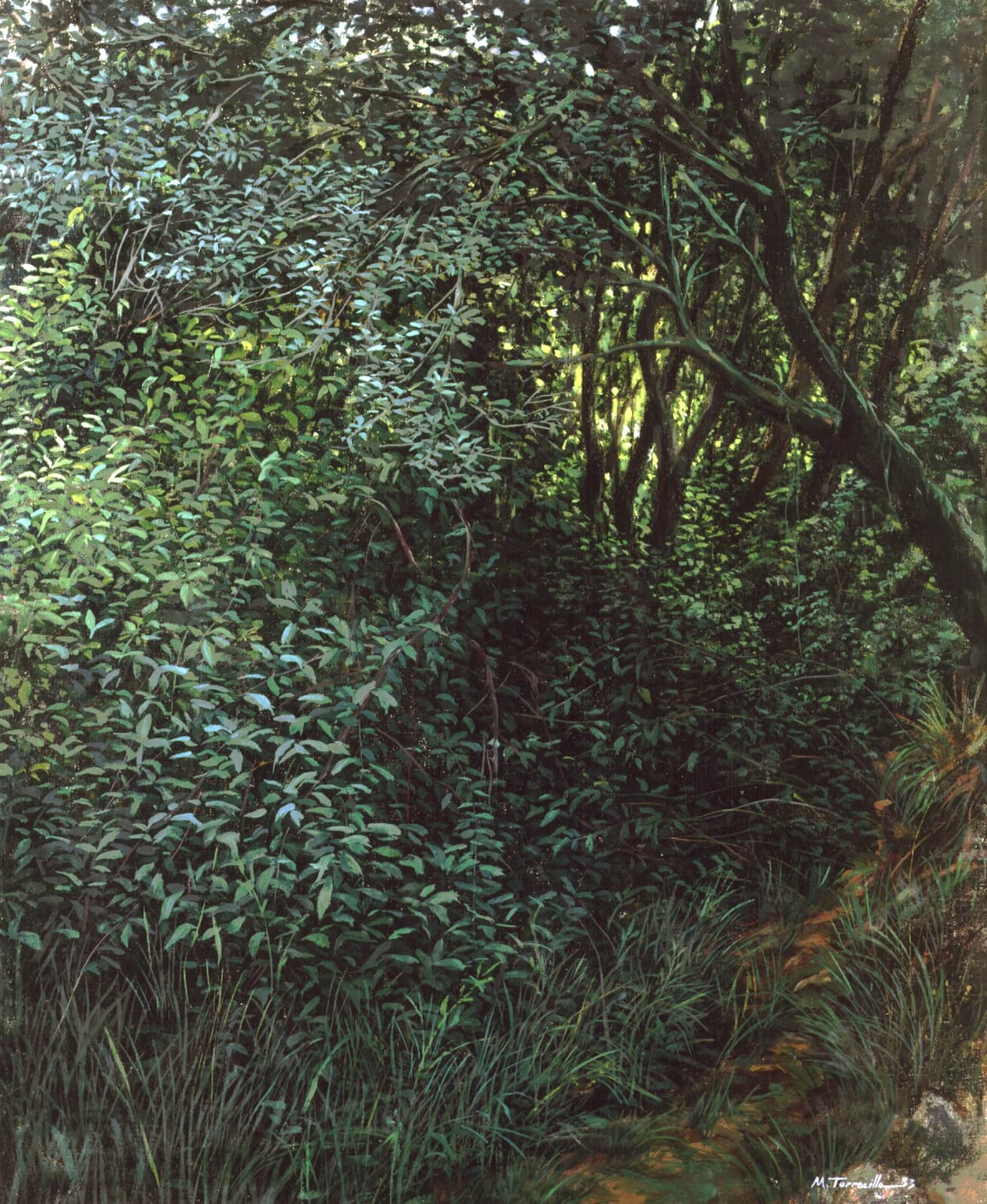 Bosque — Óleo sobre lino
