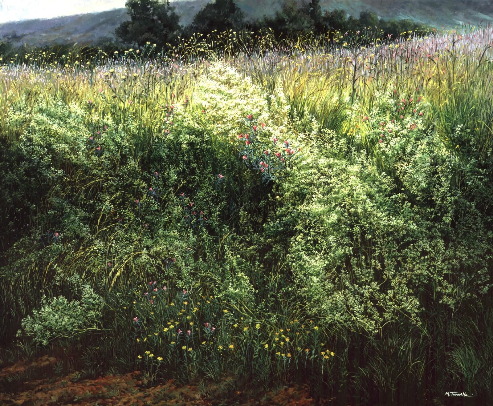 Margen Naturaleza — Óleo sobre lino