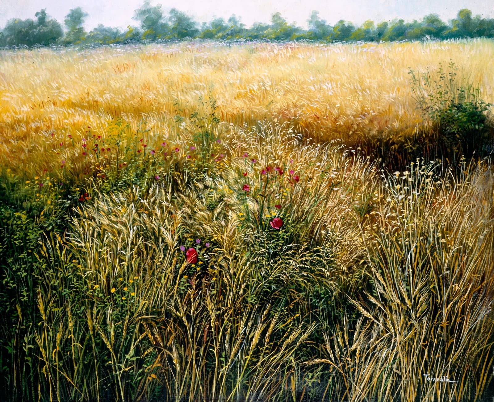 Detalle del campo — Óleo sobre lino