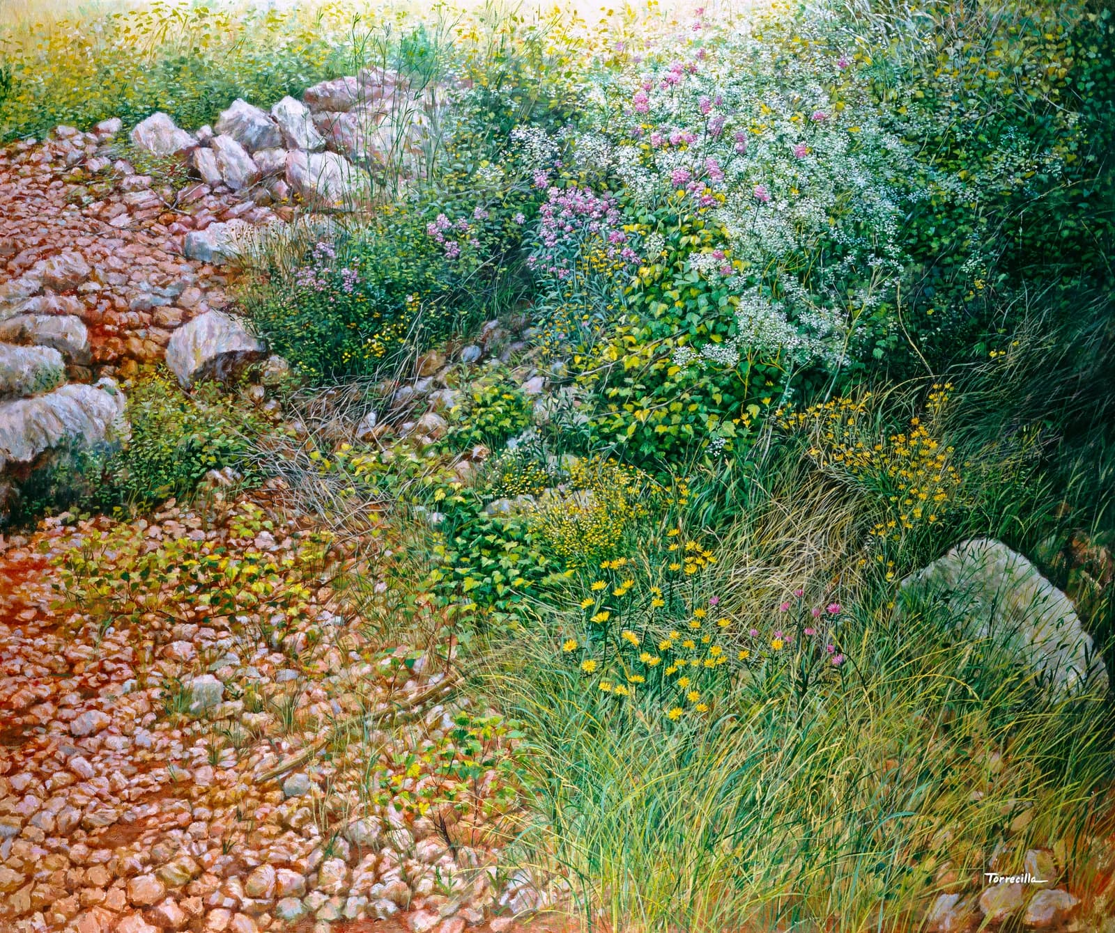 Terreno rocoso con flores — Óleo sobre lino